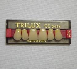 DENTE TRILUX R12 SUPERIOR 1C- VIPI