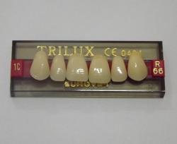 DENTE TRILUX R66 SUPERIOR 1C - VIPI